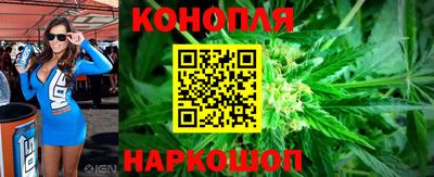шишки Коммунар