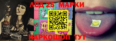 шишки Коммунар