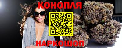 шишки Коммунар
