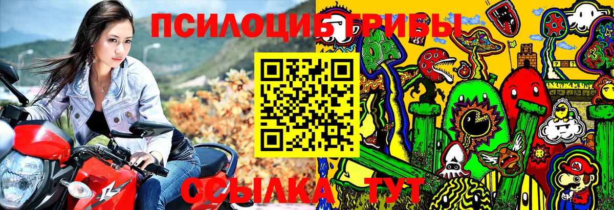 Черняховск  Галлюциногенные грибы мицелий  Вход с VPN 