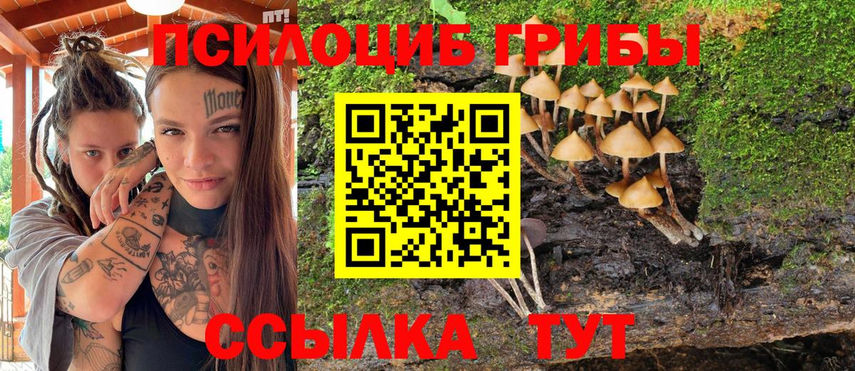 Галлюциногенные грибы ЛСД Черняховск